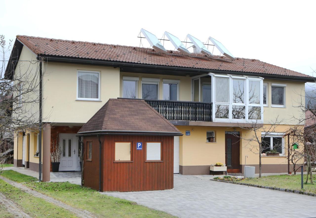 Apartma Vila Zigmund 采尔克尼察 外观 照片