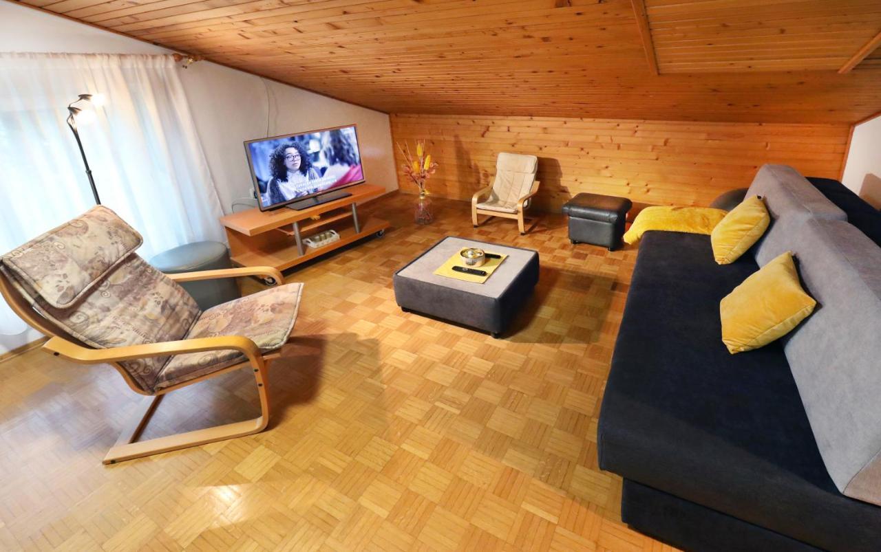 Apartma Vila Zigmund 采尔克尼察 外观 照片