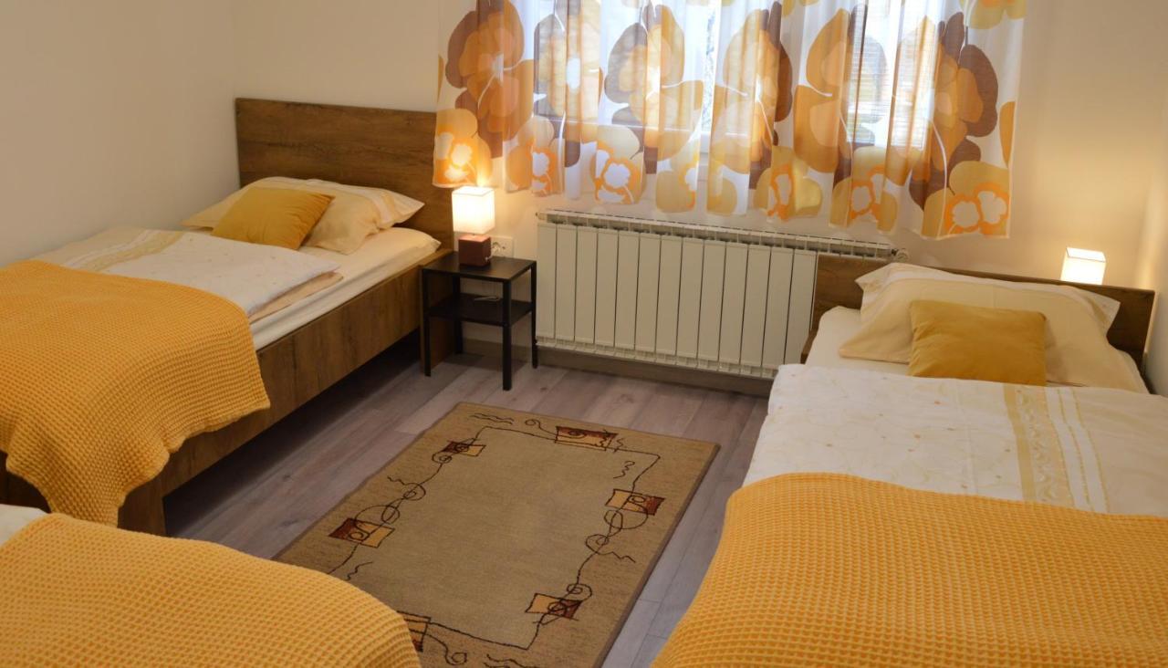 Apartma Vila Zigmund 采尔克尼察 外观 照片