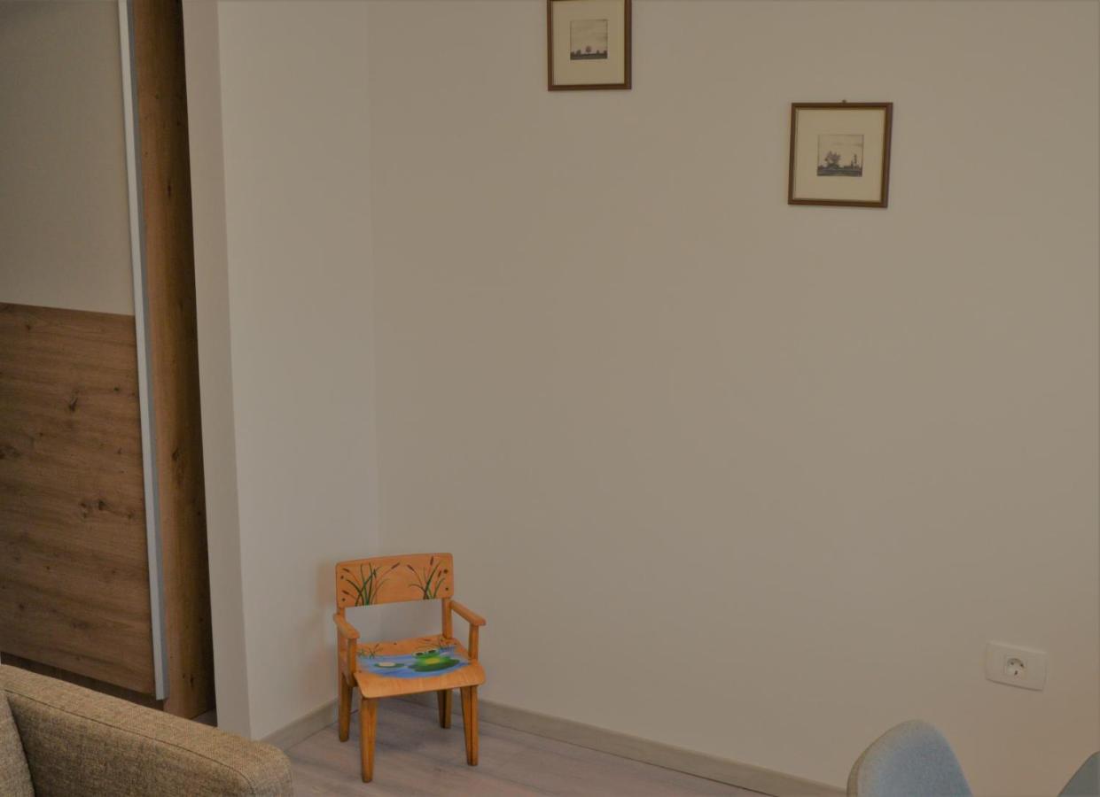 Apartma Vila Zigmund 采尔克尼察 外观 照片