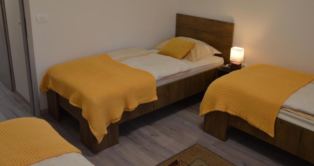 Apartma Vila Zigmund 采尔克尼察 外观 照片