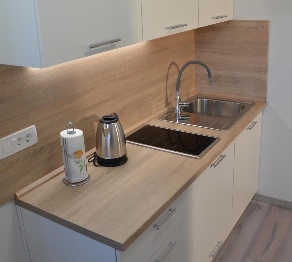 Apartma Vila Zigmund 采尔克尼察 外观 照片