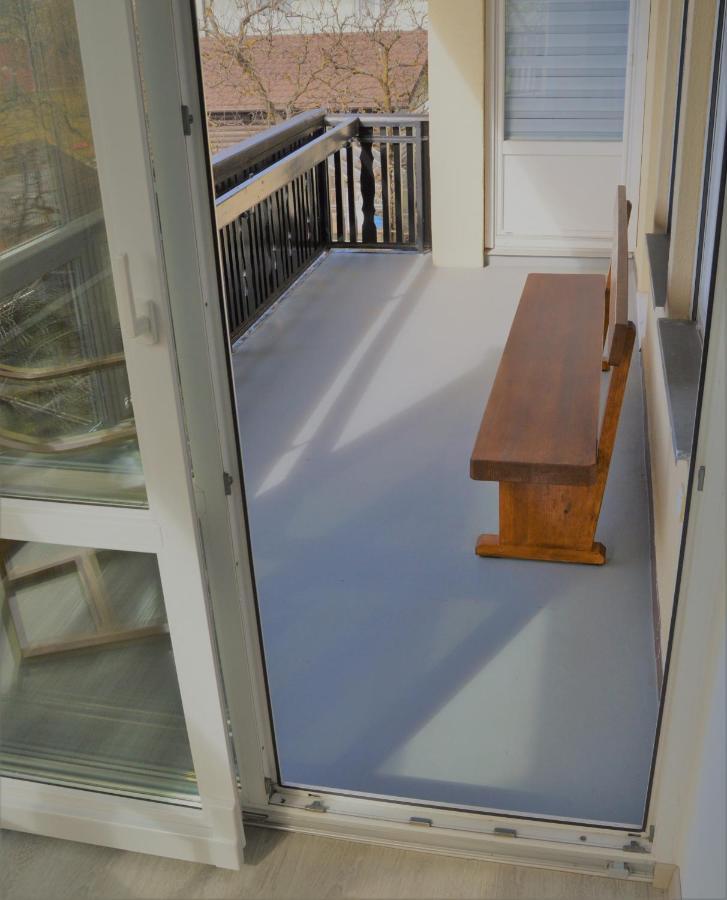 Apartma Vila Zigmund 采尔克尼察 外观 照片